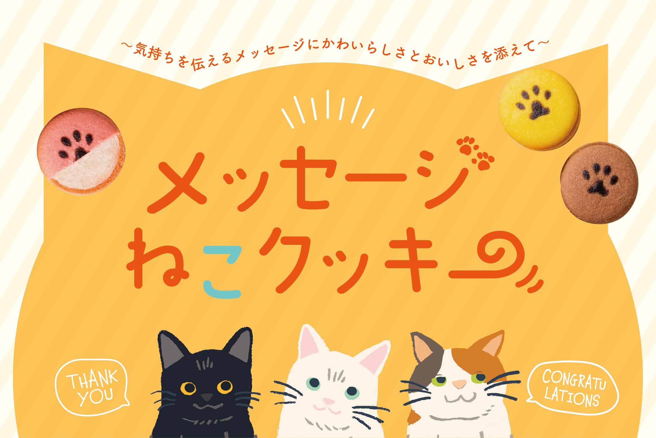 かわいいねこたちがメッセージをお届け メッセージねこクッキー 商品紹介 Mikke かわいいねこたちがメッセージをお届け メッセージねこクッキー 商品紹介 Mikke